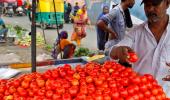 Tomato Prices Increased By 1315%!