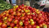 Rising tomato prices: Pune farmer turns millionaire