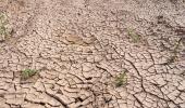 In peak of monsoon, Jharkhand stares at drought