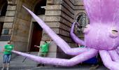 What's An Octopus Doing On A Street?