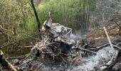 2 pilots die after Army copter crashes in Arunachal