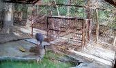 Akhilesh visits UP zoo with sarus' friend Arif, but...