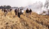 Farmers labelled villain in stubble burning issue: SC