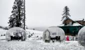 When Nature Snow Coated Kashmir