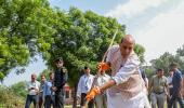 To become developed by 2047, India needs...: Rajnath