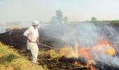 Punjab's Water Woes And Stubble Burning