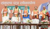 Free ration, healthcare: What BJP manifesto promises