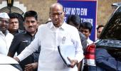 Can't seek LoP post, says Pawar; Sena-UBT differs