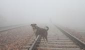 Dense fog persists over north India, rail traffic hit