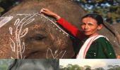 First woman elephant mahout among 34 get Padma Shri