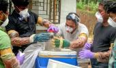 Boy infected with Nipah in Kerala dead