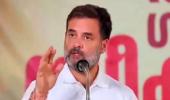 Wayanad or Raebareli?: Rahul says both 'will be happy'