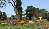 Restoring India's Botanic Heritage