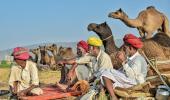 Ready For The Pushkar Camel Fair?