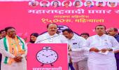 It's do-or-die battle for key satraps Pawar, Shinde, Ajit in Maha polls