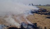 Stubble burning: SC raps Punjab, Haryana govts