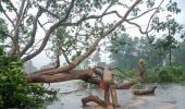 Cyclone Dana: Crops on 1.75L acre damaged in Odisha