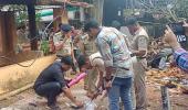 Over 150 injured in fireworks mishap at Kerala temple