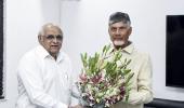 Naidu to consult with seers, experts on laddu case