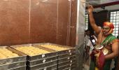 Tirupati temple 'purified' amid animal fat in laddu row