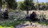 JCO killed as infiltration bid by terrorists thwarted at LoC
