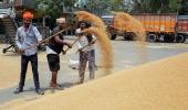 ISRO Forecast Signals Record Wheat Harvest