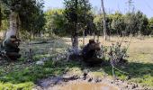 Pak troops open fire along LoC, Indian Army retaliates