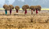 Budget 2025: Govt announces PM Dhan Dhyan Krishi Yojana