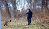 10 killed in shooting at Swedish school, several hurt