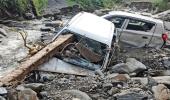 How a pet dog saved 60 people from Mandi cloudburst