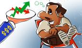 Want To Invest in MNC Funds?