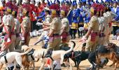 K'taka govt forms SIT to probe Dharmasthala mass grave claim