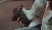 'F*** off, Indian': Man assaulted, racially abused in Australia