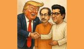 'Only Trump Can Unite Thackeray Brothers'