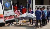 11 crash victims identified through DNA testing so far