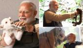 SEE: Modi feeds lion cub, catches snake at Vantara