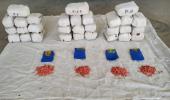 MDMA worth Rs 75 cr seized in K'taka, 2 foreigners held