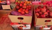 UP traders to boycott Turkish imports over Pak support