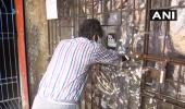 SC slams ED, halts probe against Tamil Nadu liquor retailer