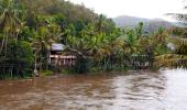 Heavy rains lash Kerala, 1 killed in tree fall incident