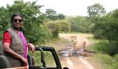President Murmu Spots Gir's Lions