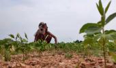 SCARY! Weak Monsoon Threatens Water Security