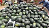 LIVE! Now, watermelon death reported from Chhattisgarh 