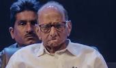 'We had even fixed merger date for Feb 12': Sharad Pawar