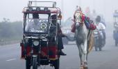 Dalit Bride's Wedding Procession Sparks Outrage And Protests
