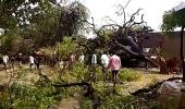 Deadly storms claim 31 lives in UP; several houses damaged