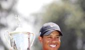 Fans sympathise with Woods, but slammed by experts