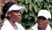 Don't write off Williams sisters, says Navratilova