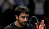 Djokovic left sweating after Tipsarevic shock