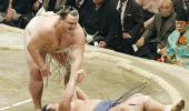 Japan's sumo belly flops to $50 million debt